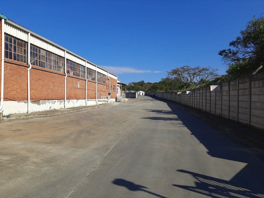 To Let commercial Property for Rent in Woodbrook Eastern Cape